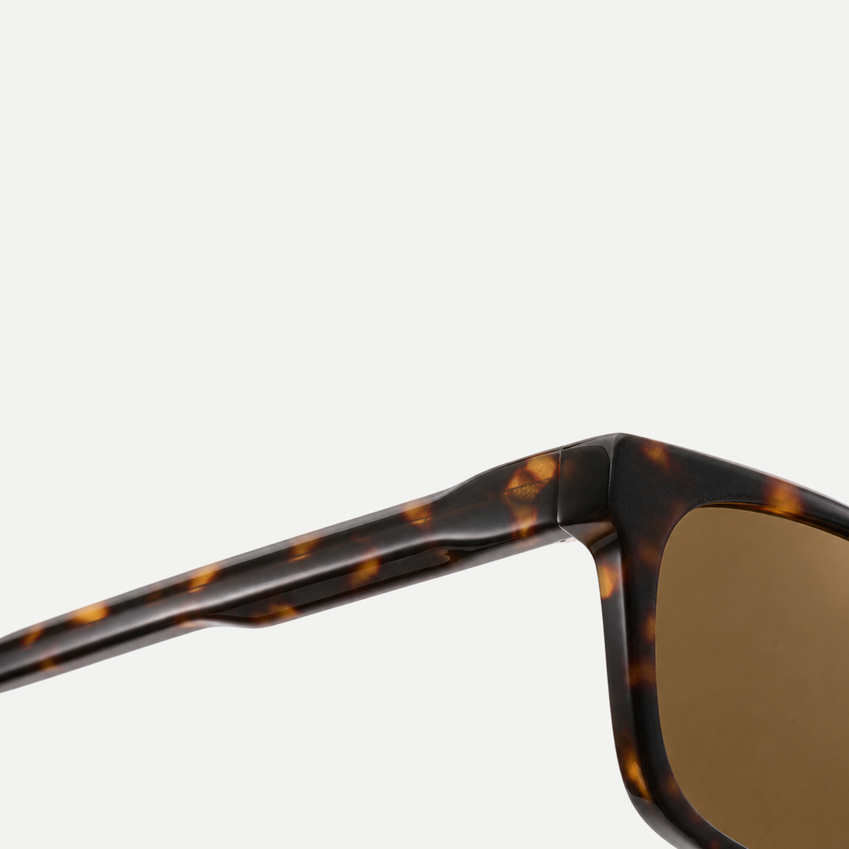 Seren dark tortoise / brown sunglasses, frame detail