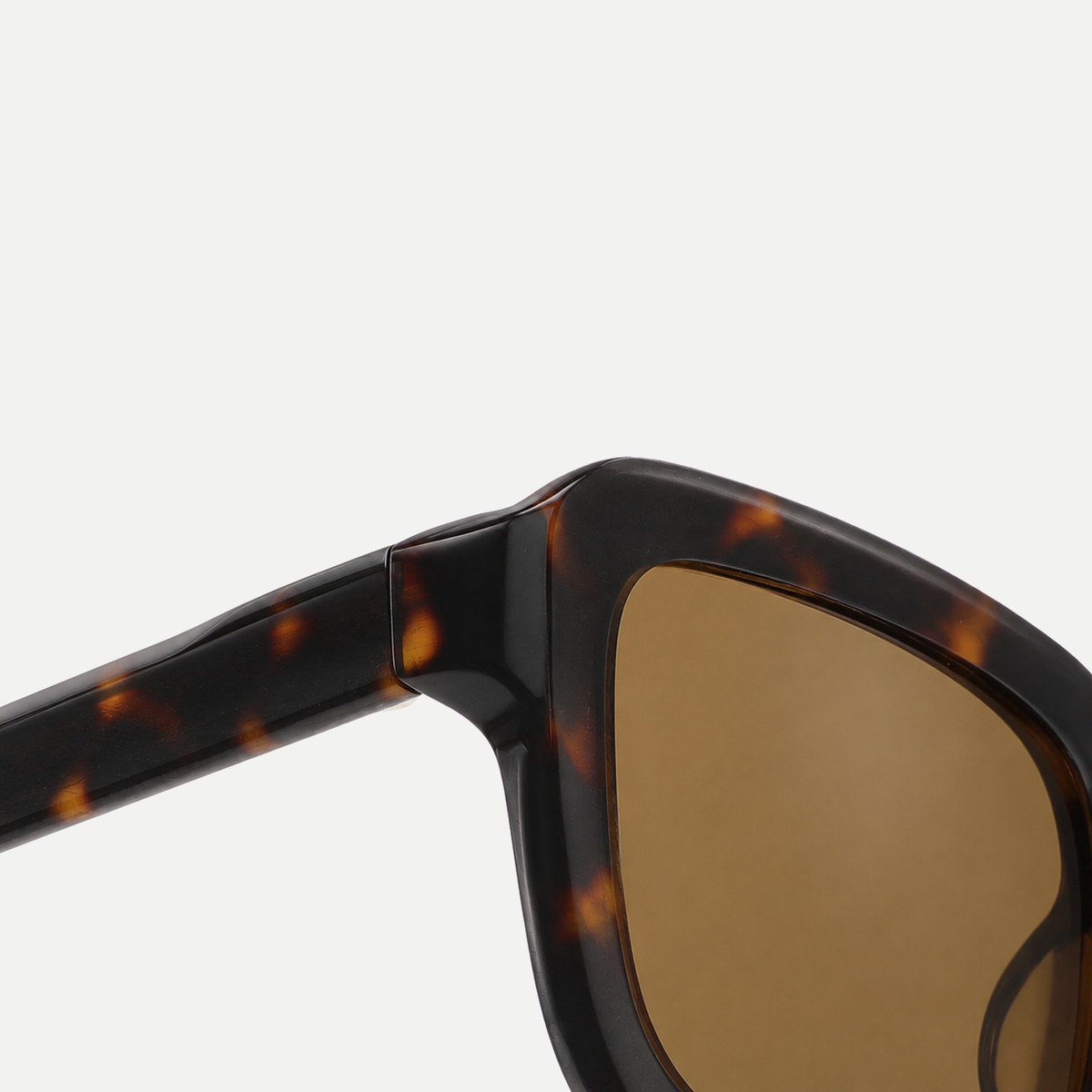 Wren dark tortoise / brown sunglasses, frame detail