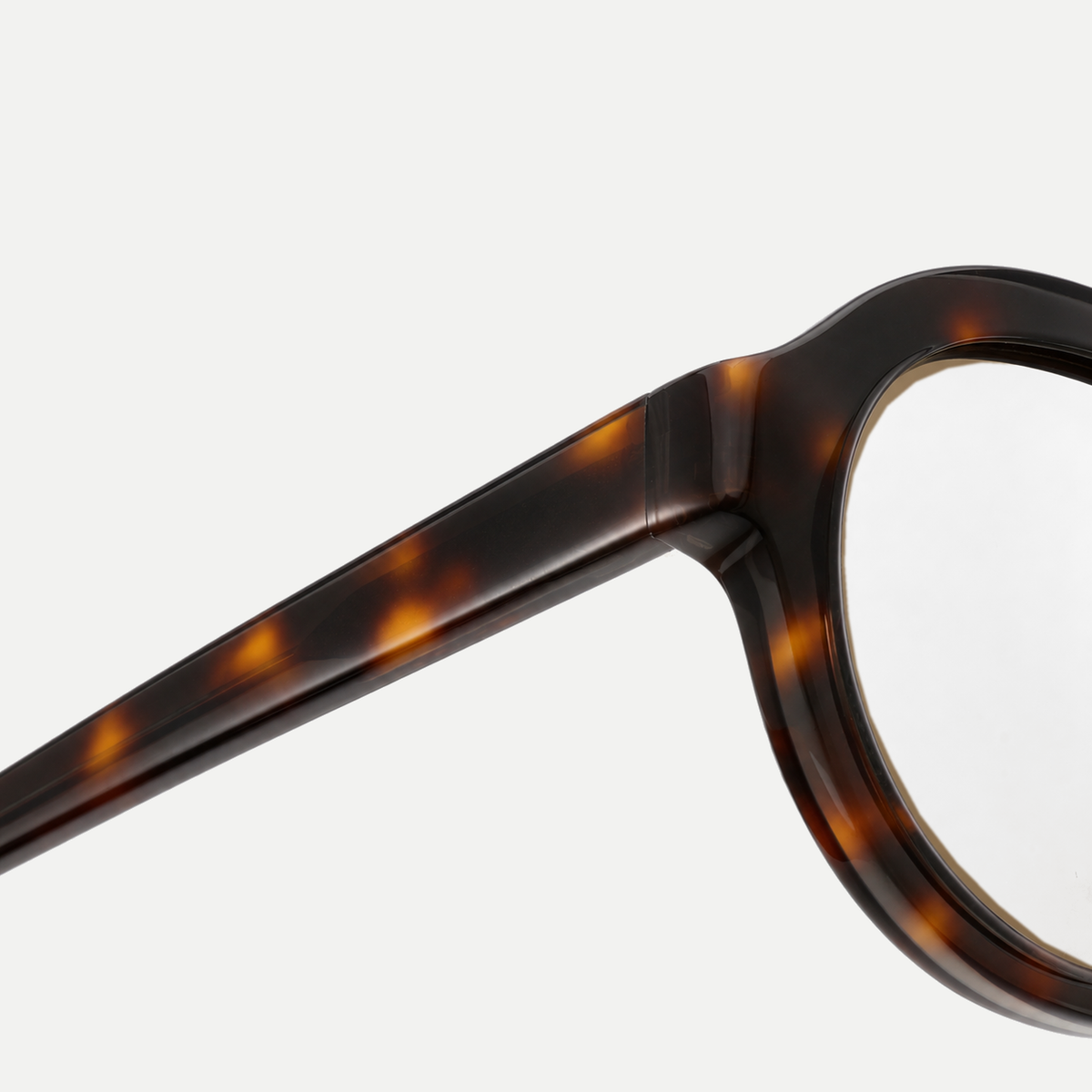 Livia amber tortoise eyeglasses, frame detail