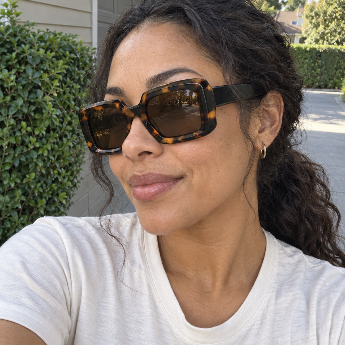 Noelle sunglasses - Tortoise Black / Brown - UGC