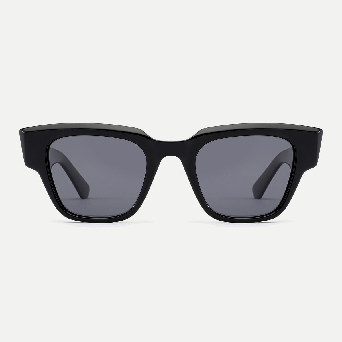 Arden sunglasses - Black Tortoise / Smoke - front view