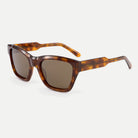 Reese sunglasses - Amber Tortoise / Brown - 45-degree view